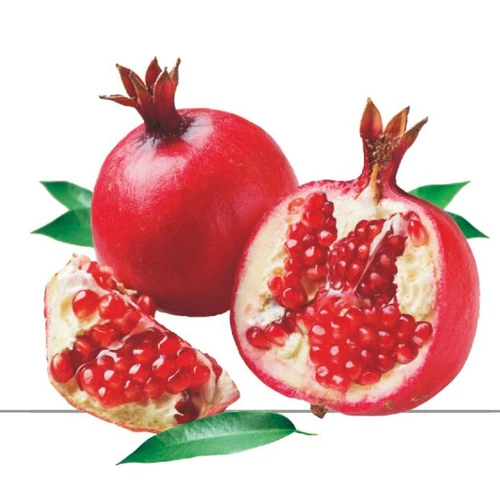 product-725-701 product-725-701