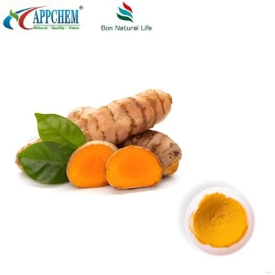 Pulbere de curcumină HPLC95%; Curcuminoizi; Extract de turmeric