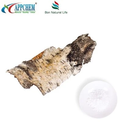 Pulbere naturală de betulină