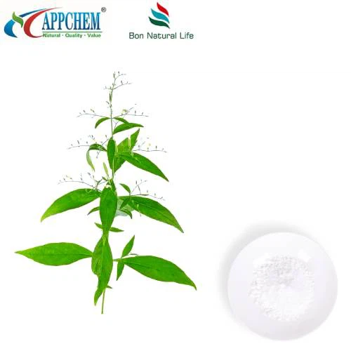 Extract de Andrographis Paniculata Andrographolide