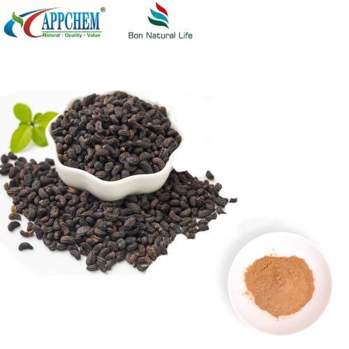 Extract de Fructus Ligustri Lucidi