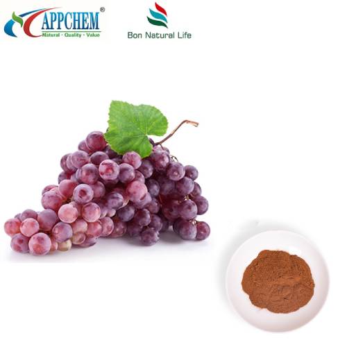 Pulbere de extract de piele de struguri