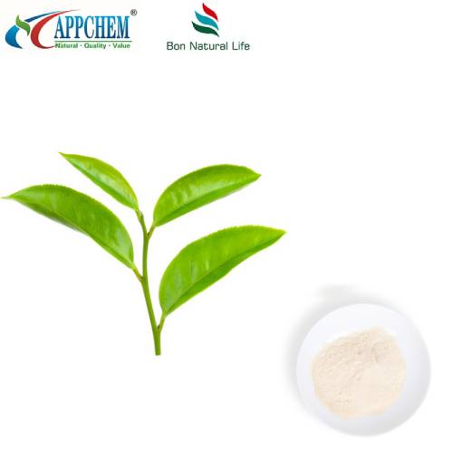 Extract de ceai verde L-teanina