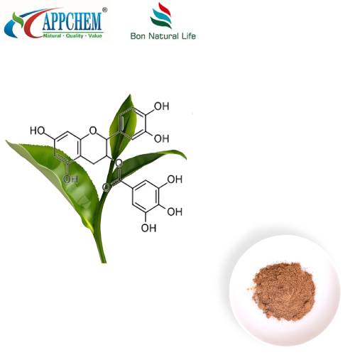 Extract de ceai verde polifenol