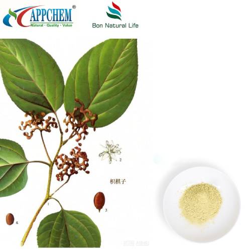 Pudră de extract de Hovenia Dulcis
