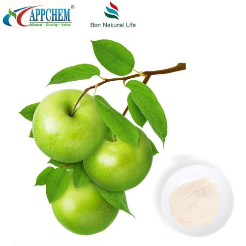 HPLC90% Phloretin Pulbere COA TDS