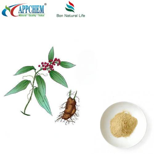 Extract de pâine indiană 50