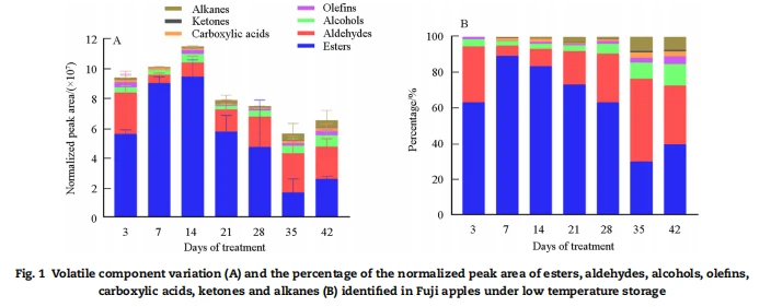 info-704-281 info-704-281