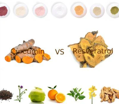 Curcumină vs Resveratrol: care polifenol oferă o valoare funcțională mai mare?
