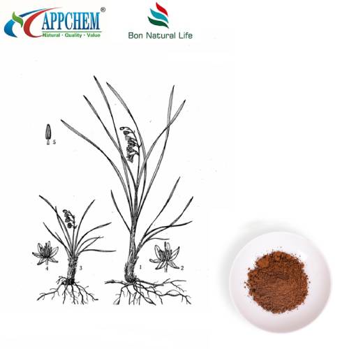 Extract de rădăcină de crin