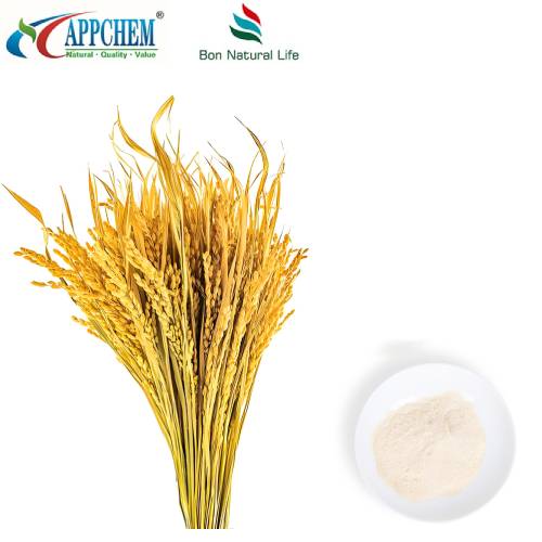 Pulbere naturală de acid ferulic