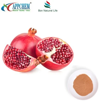 Pudră de extract de rodie