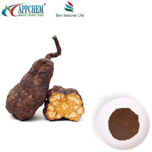 Pudră de extract Polygoni Multiflori Preparata