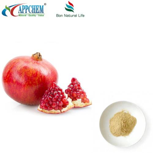 Date de testare HPLC cu extract de coajă de rodie