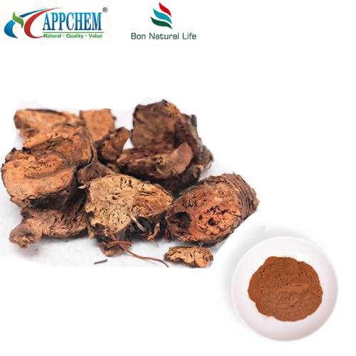 Pudră de extract de Rhodiola Rosea