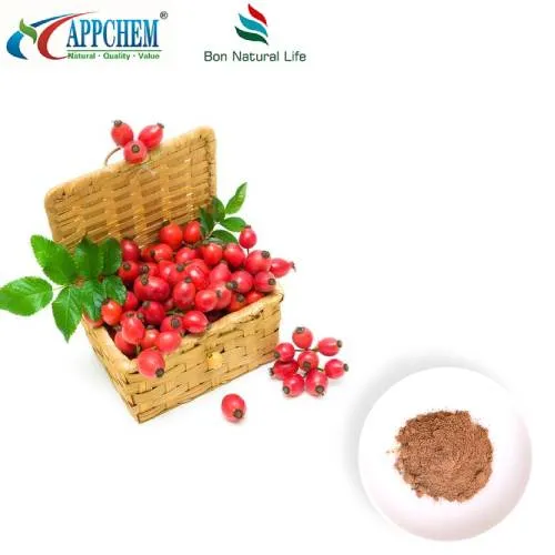 Pudră de extract de măceșe