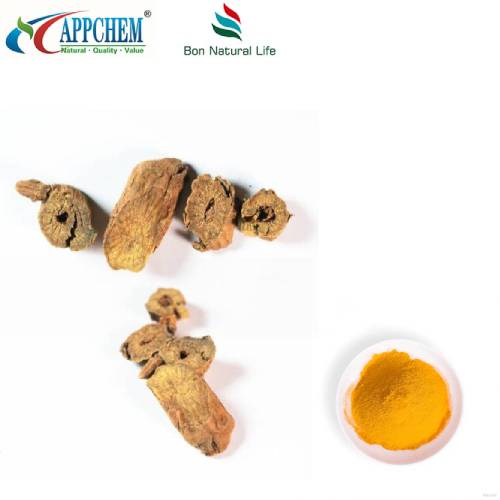 Extract de Scutellaria Baicalensis