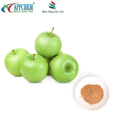 Extract de mere Procyanidin B2 Pudră În stoc