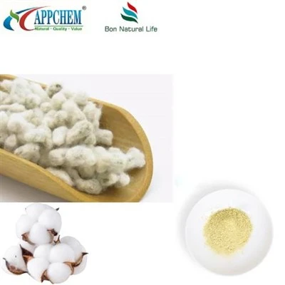 Pudră de extract de semințe de bumbac