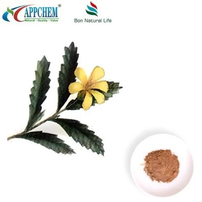 Pudră de extract de Damiana