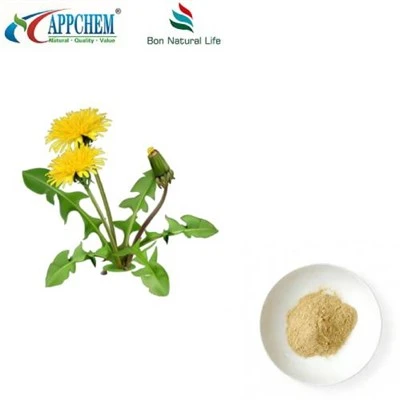 Flavonoide pulbere cu extract de păpădie
