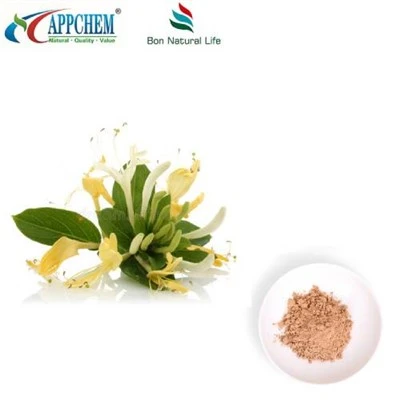 Pudră de extract Flos Lonicerae