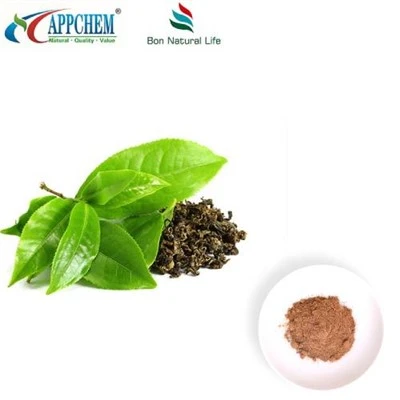 Ceai verde 95 polifenoli pulbere