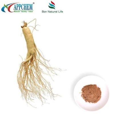 Pudră de extract de ginseng Panax