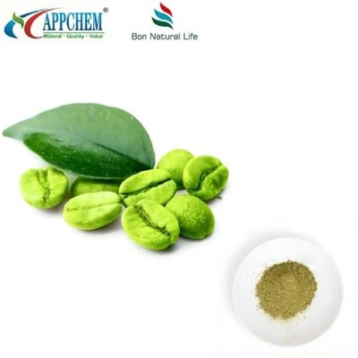Pudră de boabe de cafea verde pură