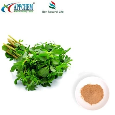 Pudră de extract de purslane