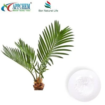Pudră de extract de Saw Palmetto
