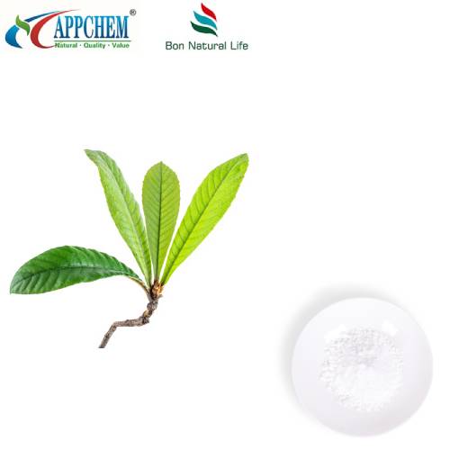 Pulbere de acid ursolic